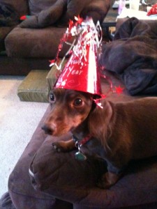 Happy New Weener